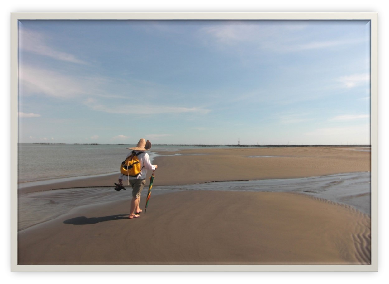 東石外傘頂洲 李侑芝攝影